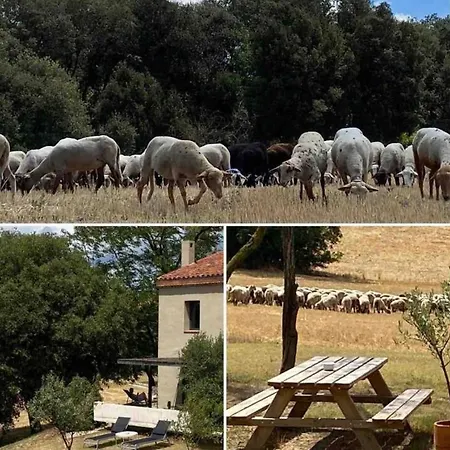La Guardia - El Moli Hébergement de vacances Llinars del Valles