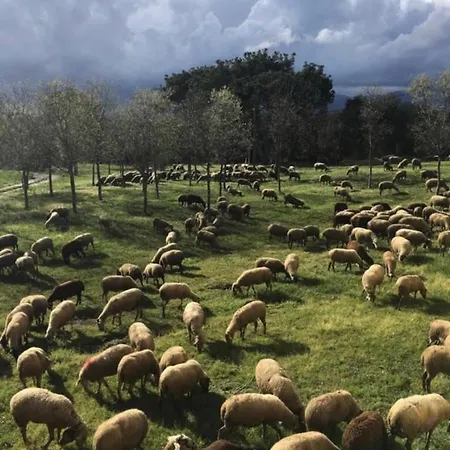 La Guardia - El Molí *