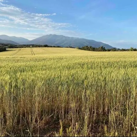 La Guardia - El Molí *